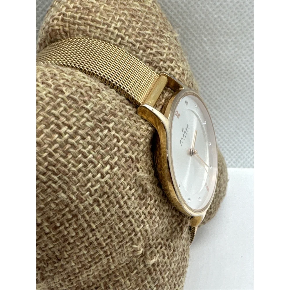 Skagen SKW2151 Womens Stainless Steel Mesh Analog Dial Quartz Wrist Watch AEA280